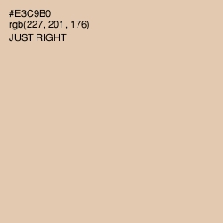 #E3C9B0 - Just Right Color Image